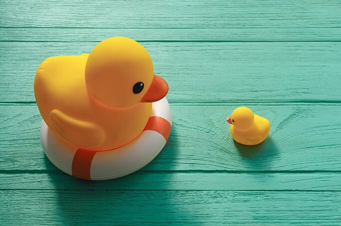 two rubber ducks