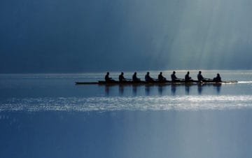 professisonal team rowing together