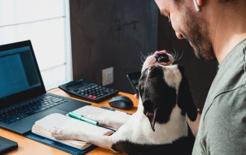 work desk with dog sitting on mans lap