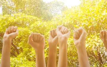 Group of hands raise up